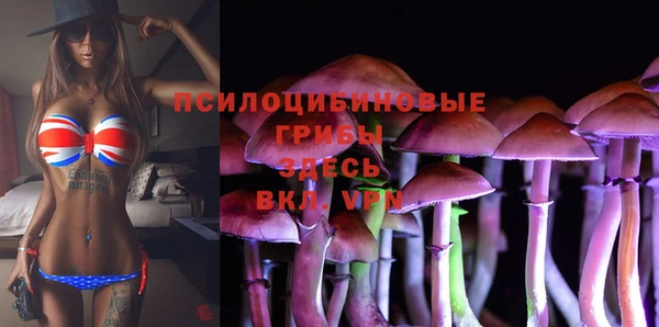 марки lsd Переславль-Залесский