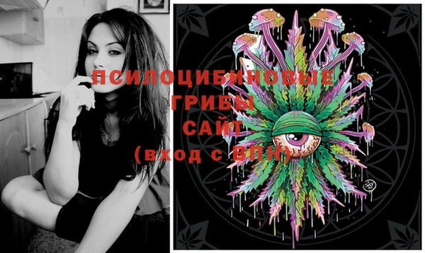 марки lsd Переславль-Залесский