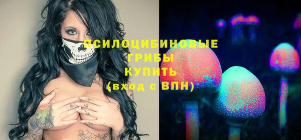 спиды Осинники