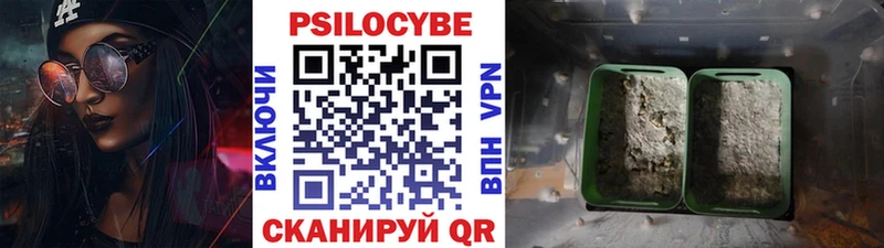 Галлюциногенные грибы Cubensis  Алдан 